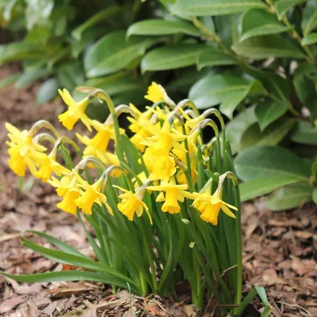 Snug In Kroepelin Germany Klein Nienhagen