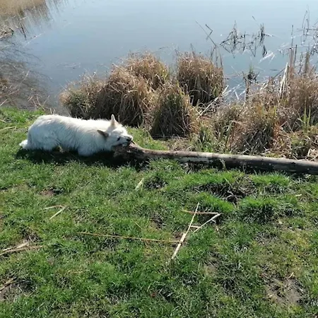 Snug In Kroepelin Germany *